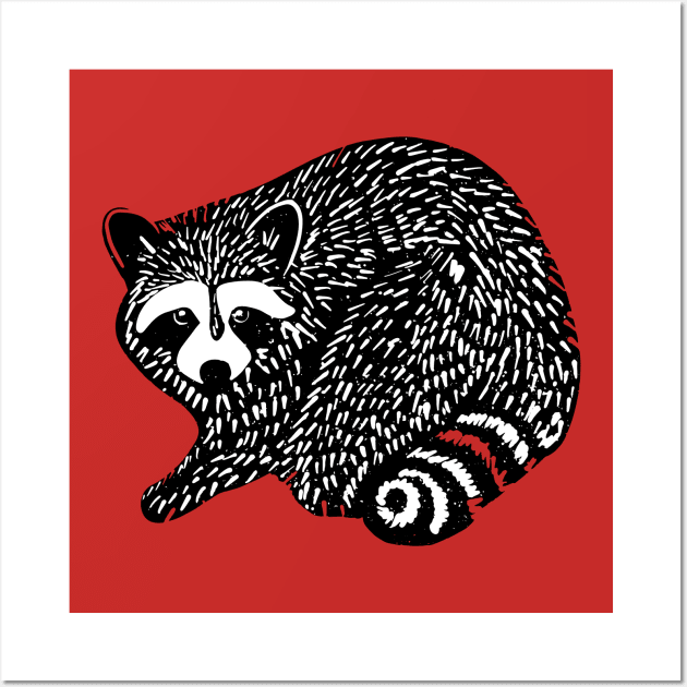 Raccoon the first Wall Art by divafern